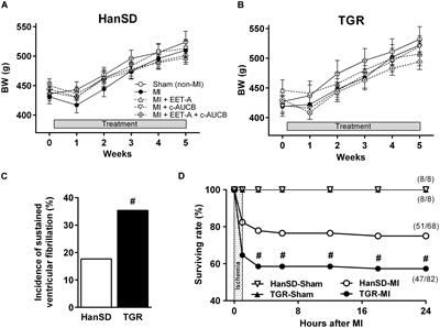 Epoxyeicosatrienoic Acid-Based Therapy Attenuates the Progression of Postischemic Heart Failure in Normotensive Sprague-Dawley but Not in Hypertensive Ren-2 Transgenic Rats